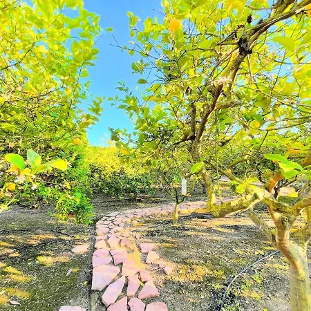 Valverde By Villas&you Villa Santa Pola